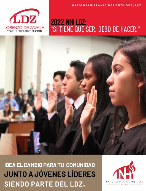 Click here for the Spanish LDZ brochure